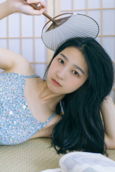 小姐与流浪狗